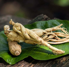 Panax Ginseng Aerial Extract